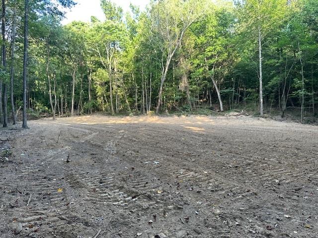 8 Sales Landing Road Camden, TN 38320 - Photo 13 of 31 a view of outdoor space with trees