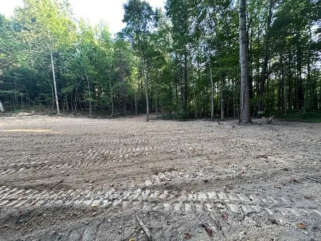 a view of empty room with green space