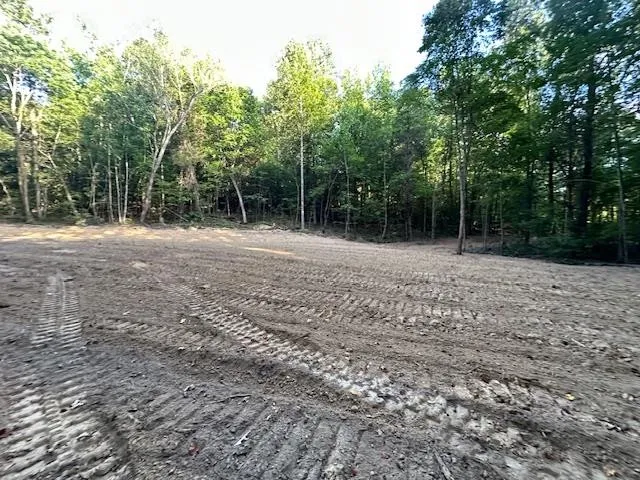 a view of outdoor space with trees