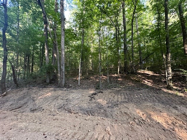 8 Sales Landing Road Camden, TN 38320 - Photo 17 of 31 a view of a forest with trees in the background