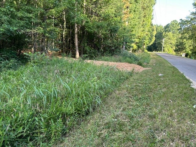 8 Sales Landing Road Camden, TN 38320 - Photo 19 of 31 a big yard with lots of green space and plants