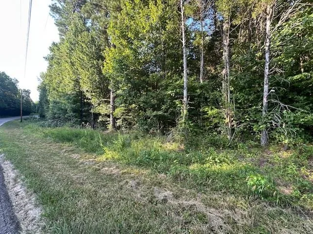 a view of a forest with trees