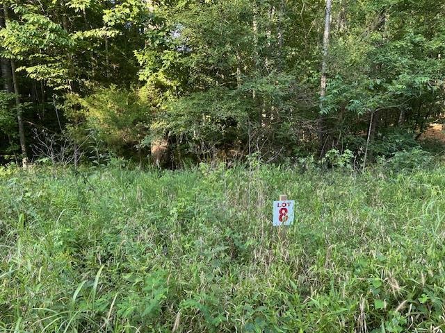 8 Sales Landing Road Camden, TN 38320 - Photo 2 of 31 a green field with trees in the background
