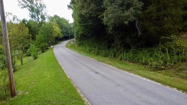 a view of a yard with potted plants
