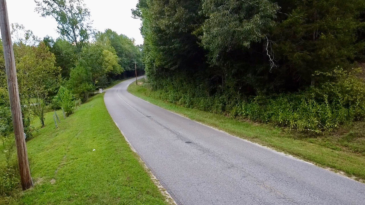 8 Sales Landing Road Camden, TN 38320 - Photo 22 of 31 a view of a yard with potted plants