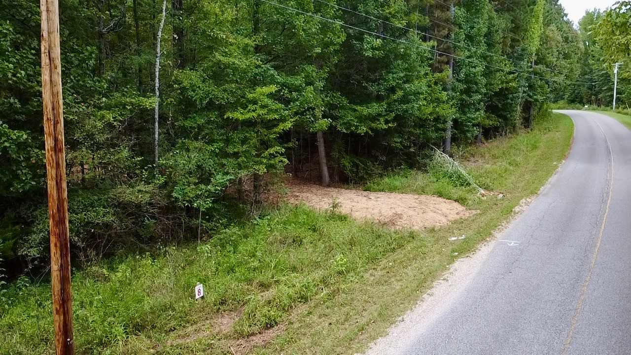 8 Sales Landing Road Camden, TN 38320 - Photo 24 of 31 a view of a garden with plants