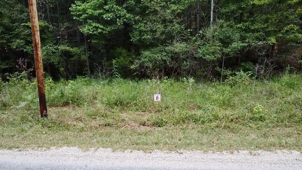 8 Sales Landing Road Camden, TN 38320 - Photo 25 of 31 a view of a lush green forest