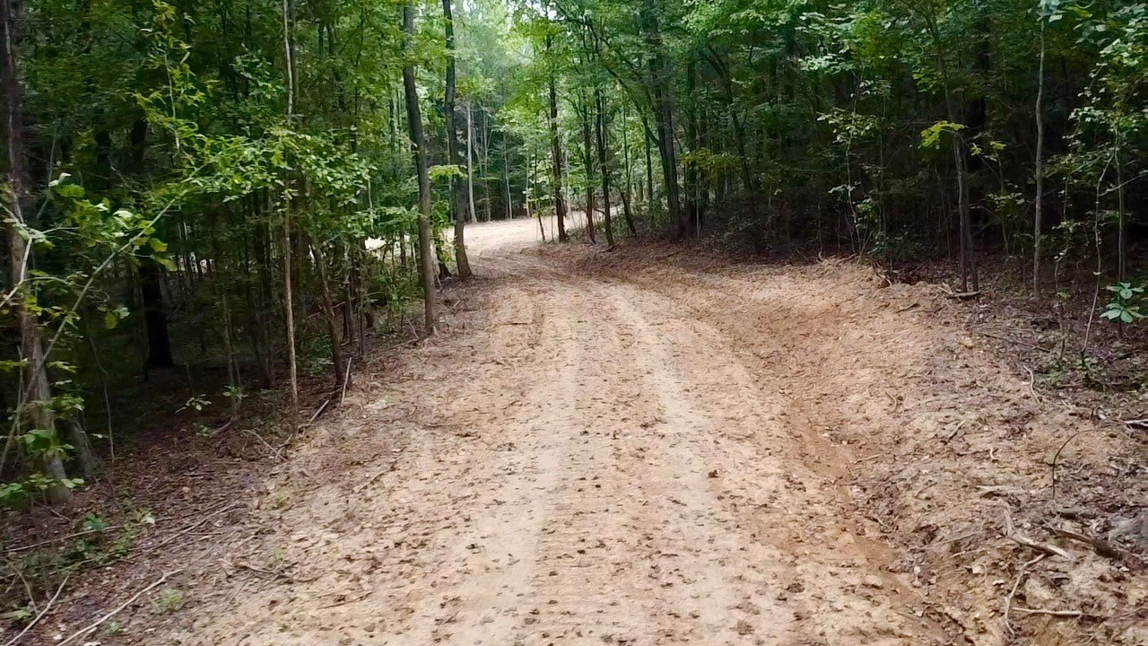 8 Sales Landing Road Camden, TN 38320 - Photo 27 of 31 a view of backyard with green space