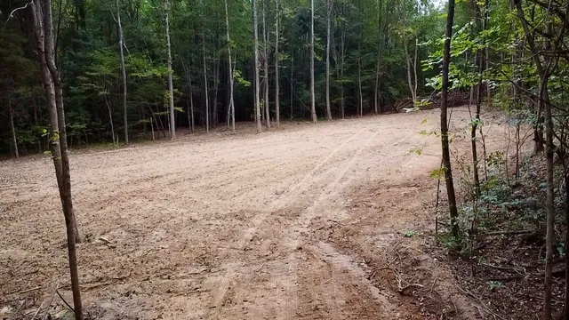 a view of backyard with green space