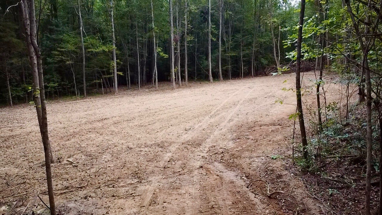 8 Sales Landing Road Camden, TN 38320 - Photo 28 of 31 a view of backyard with green space