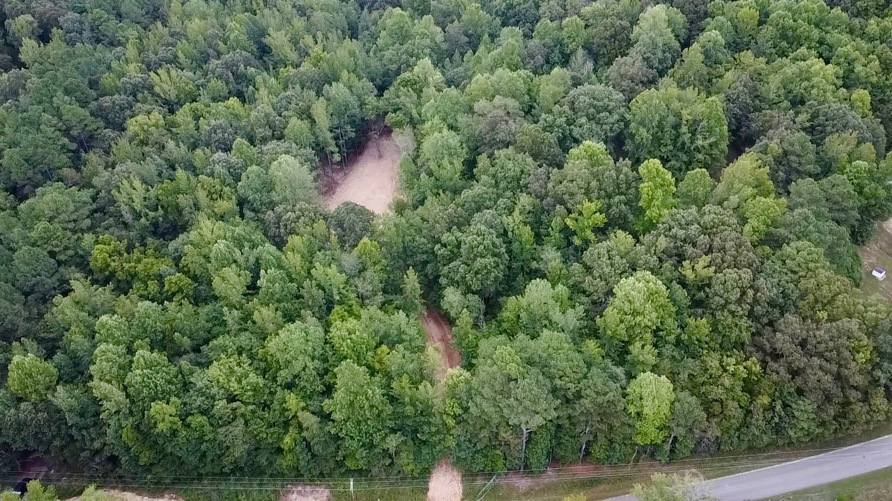 8 Sales Landing Road Camden, TN 38320 - Photo 29 of 31 an aerial view of residential house with outdoor space and trees all around