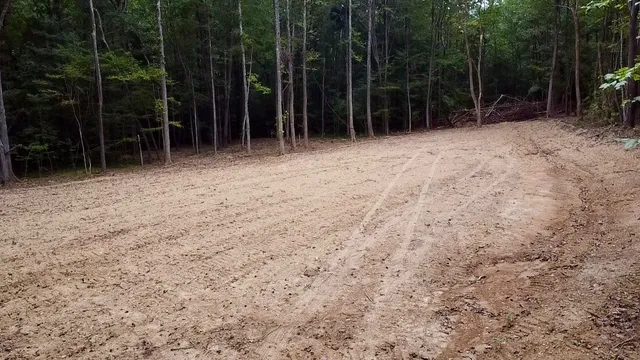 a view of backyard with green space