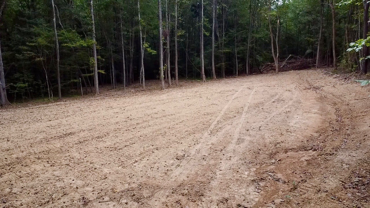 8 Sales Landing Road Camden, TN 38320 - Photo 31 of 31 a view of backyard with green space