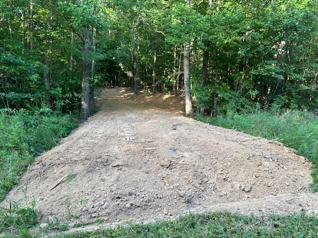 8 Sales Landing Road Camden, TN 38320 - Photo 4 of 31 a view of a yard with plants and trees