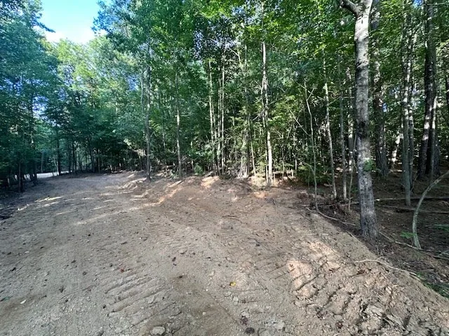 a view of outdoor space with trees