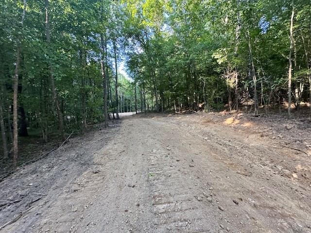 8 Sales Landing Road Camden, TN 38320 - Photo 7 of 31 a view of a forest with trees in the background