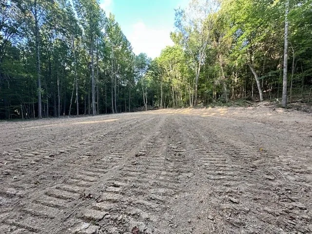 a view of empty room with trees