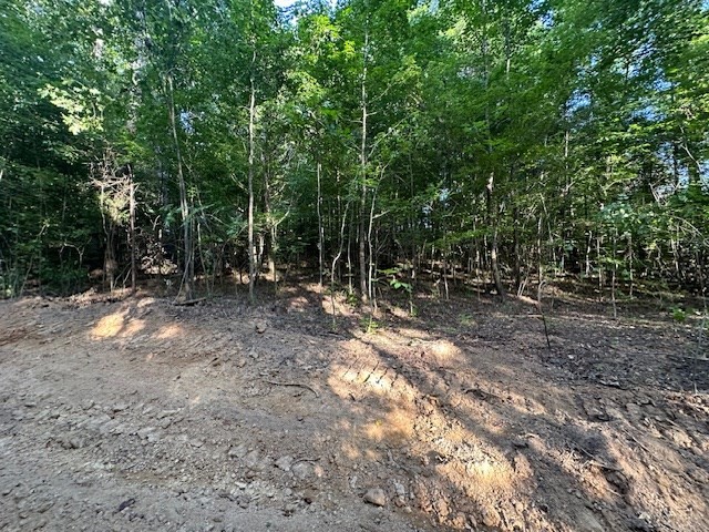 8 Sales Landing Road Camden, TN 38320 - Photo 10 of 31 a view of outdoor space with trees