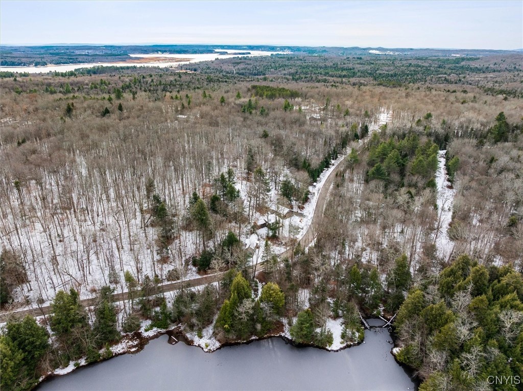 152 Silverstone Road Russia, NY 13438 - Photo 26 of 34