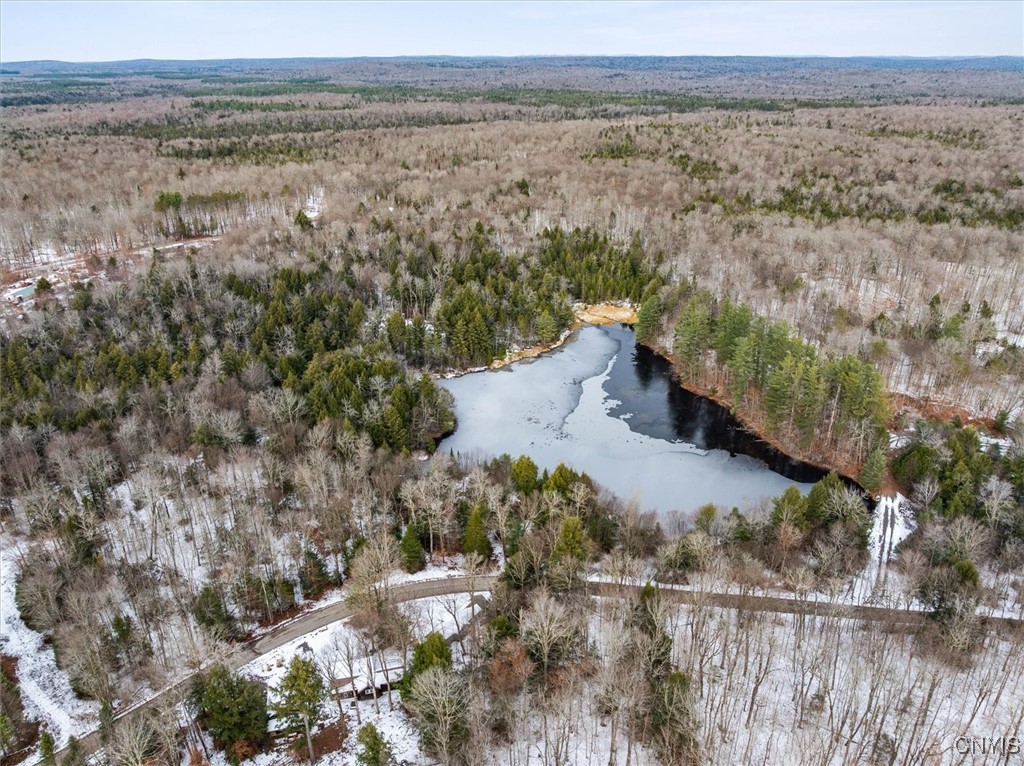 152 Silverstone Road Russia, NY 13438 - Photo 4 of 34