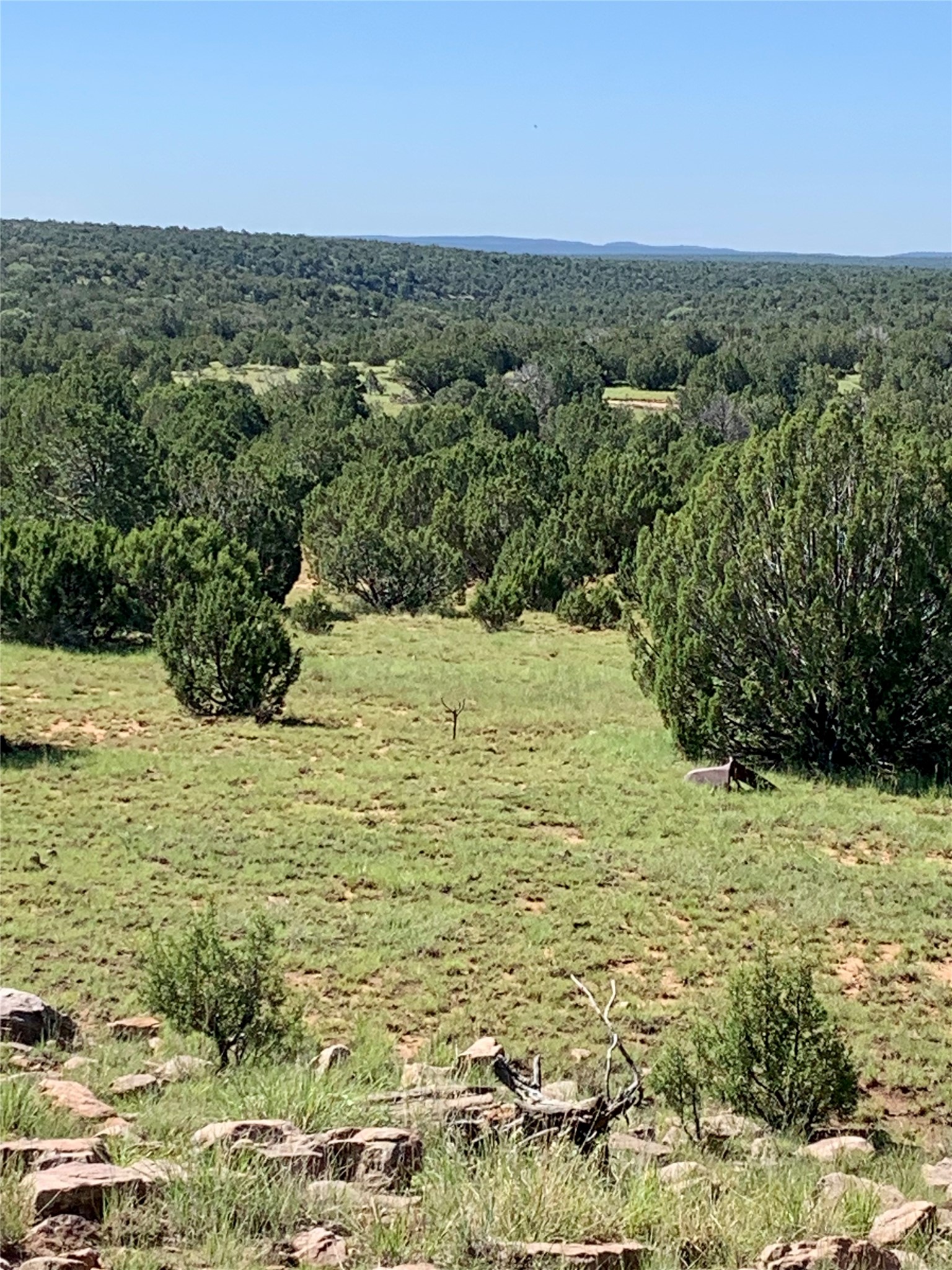 305 A Cr Ribera, NM 87560 - Photo 19 of 23