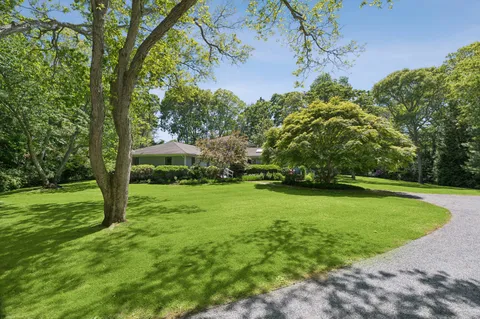 a view of a grassy field with trees