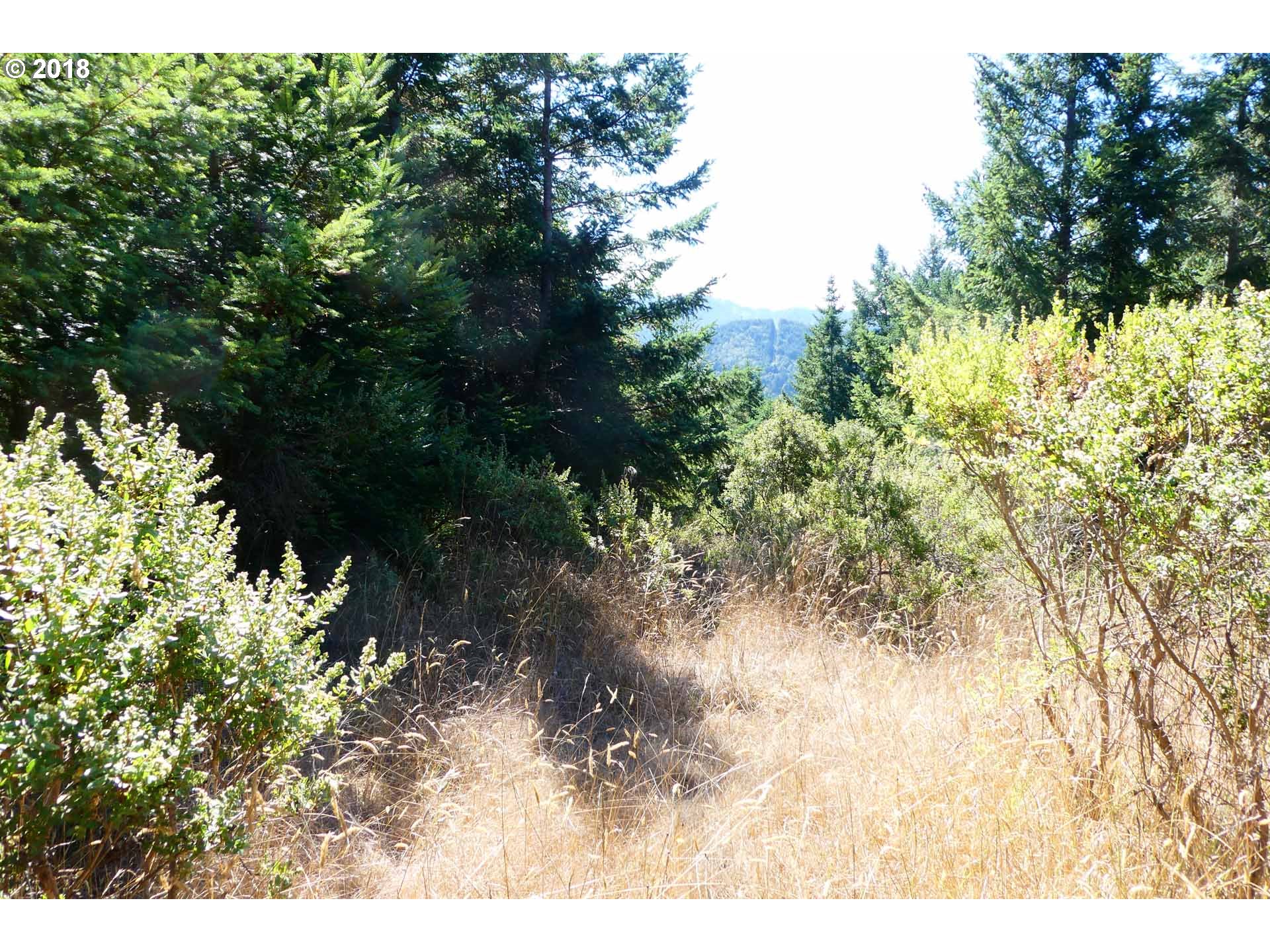 Spirit Ridge, Unit 2000 Gold Beach, OR 97444 - Photo 22 of 24
