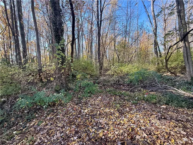 $29,000 | 0 Butler Street, Seneca Falls, NY 13148