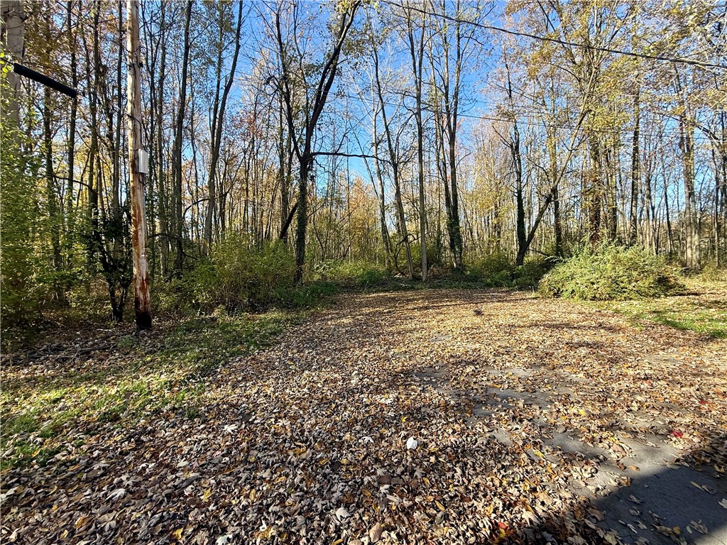 0 Butler Street Seneca Falls, NY 13148 - Photo 2 of 3