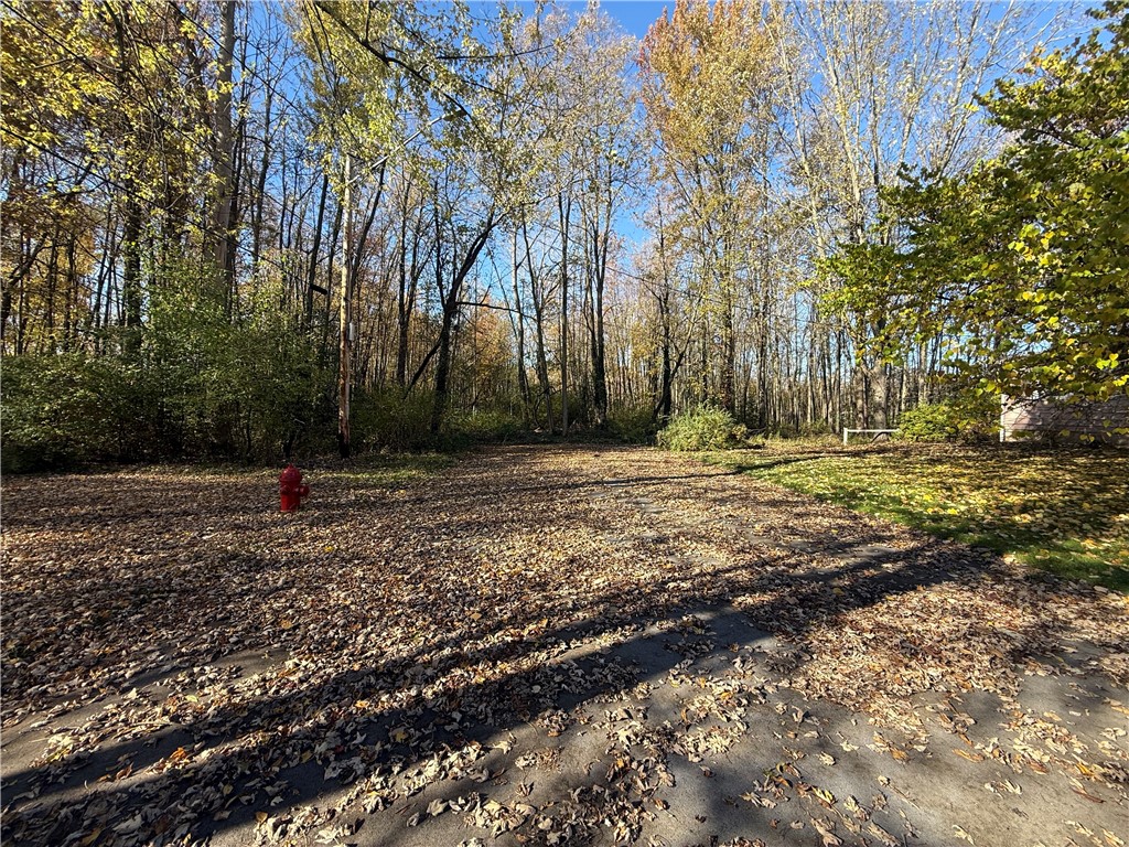 0 Butler Street Seneca Falls, NY 13148 - Photo 3 of 3