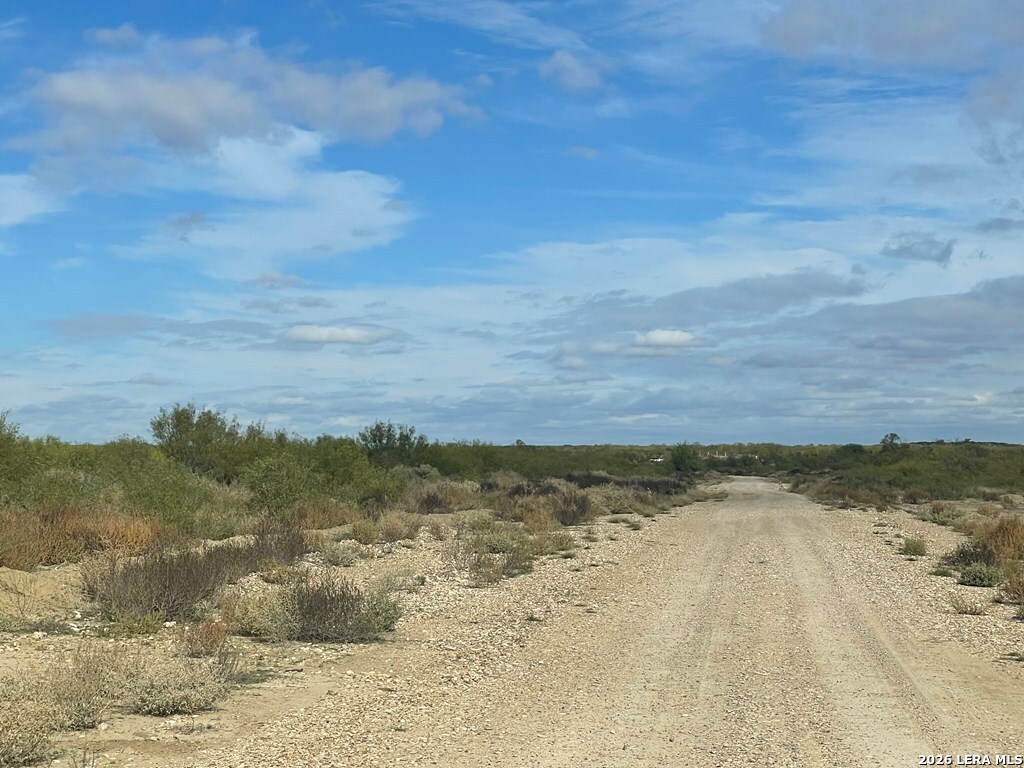 131 Camino Real Road Eagle Pass, TX 78852 - Photo 8 of 11