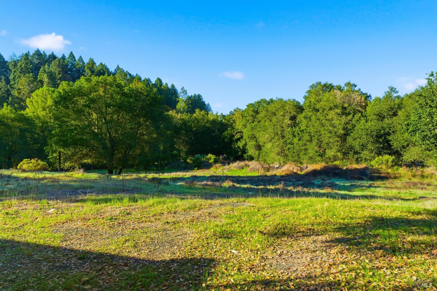 5140 Sharp Road Calistoga, CA 94515 - Photo 21 of 28 a view of swimming pool with yard and green space