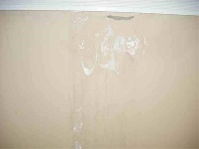 2439 South Long Lake Road Fenton, MI 48430 - Photo 4 of 5 20239815-3.JPG