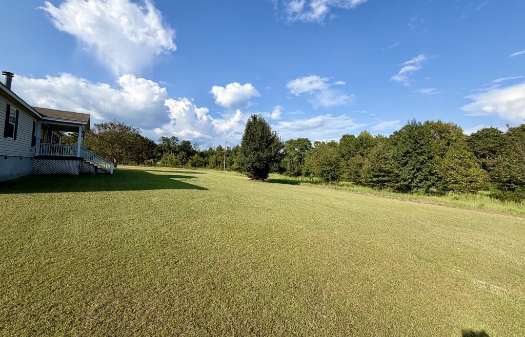 295 Mt Pleasant Church Road Gordon, GA 31031 - Photo 5 of 22 Gallery Image 5