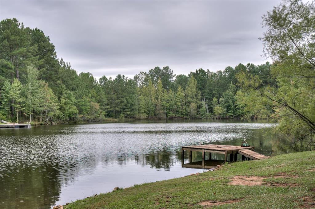 5 New Market Road Trenton, SC 29847 - Photo 50 of 52 Pond