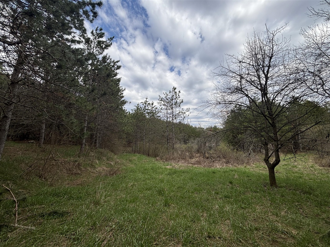 8.5 A 18 Mile Road Morley, MI 49336 - Photo 15 of 23