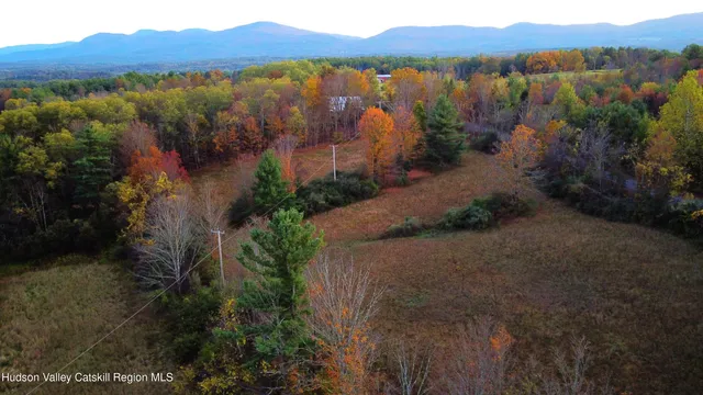 a view of a city with lush green forest