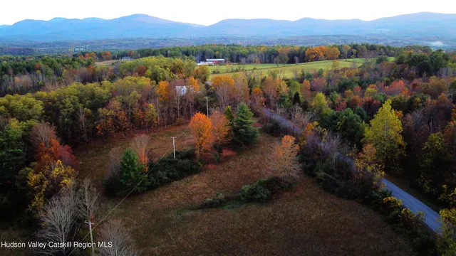 a view of a yard with a flower garden