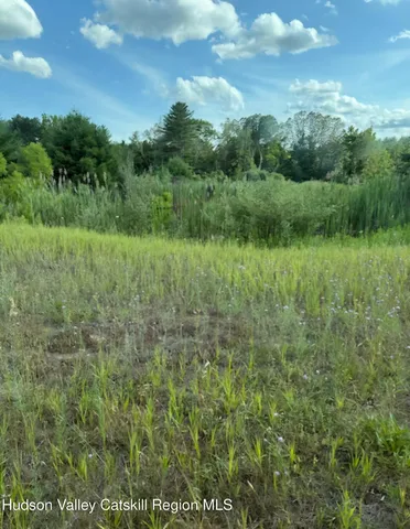 a view of a lush green field