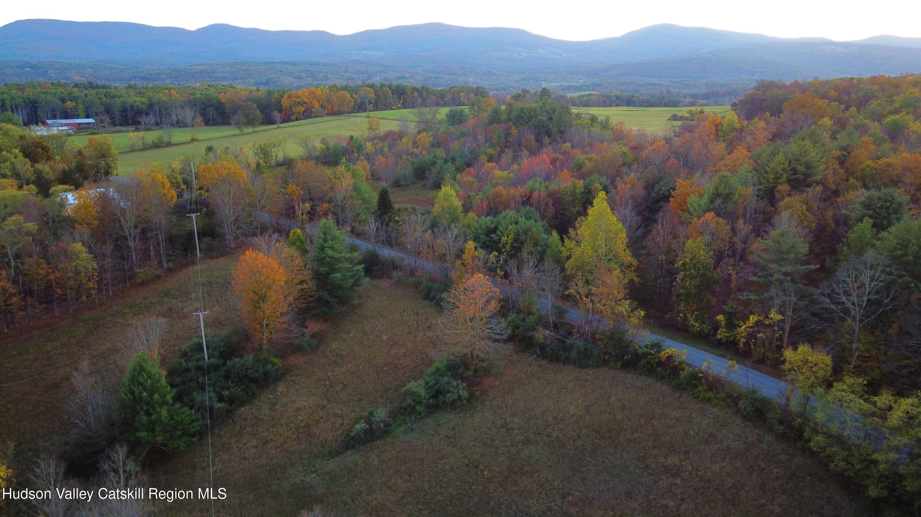 0 Saybrook Hill Road Medusa, NY 12120 - Photo 21 of 22 a view of a lake in middle of forest