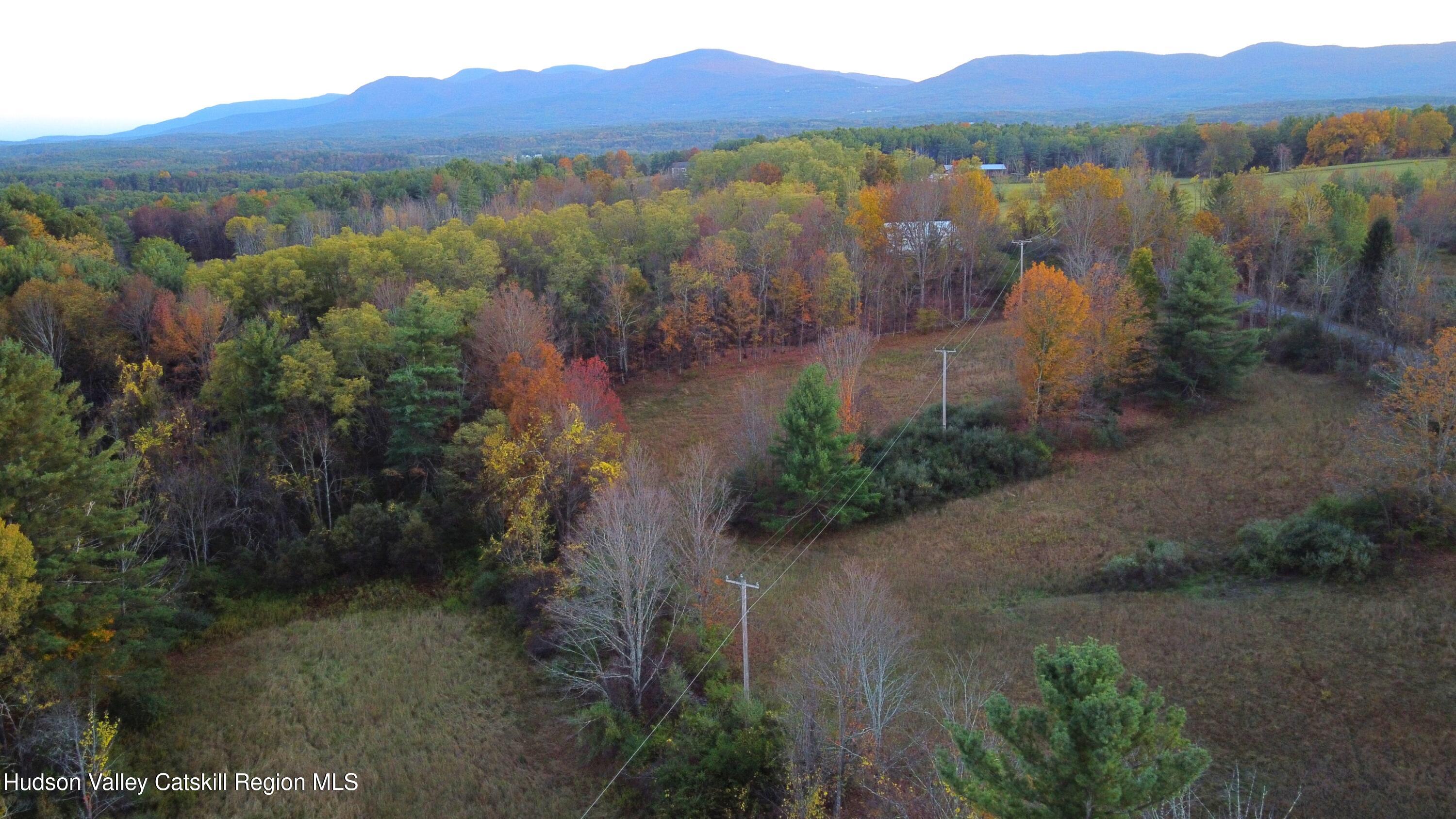 0 Saybrook Hill Road Medusa, NY 12120 - Photo 7 of 22 a view of lake with mountain