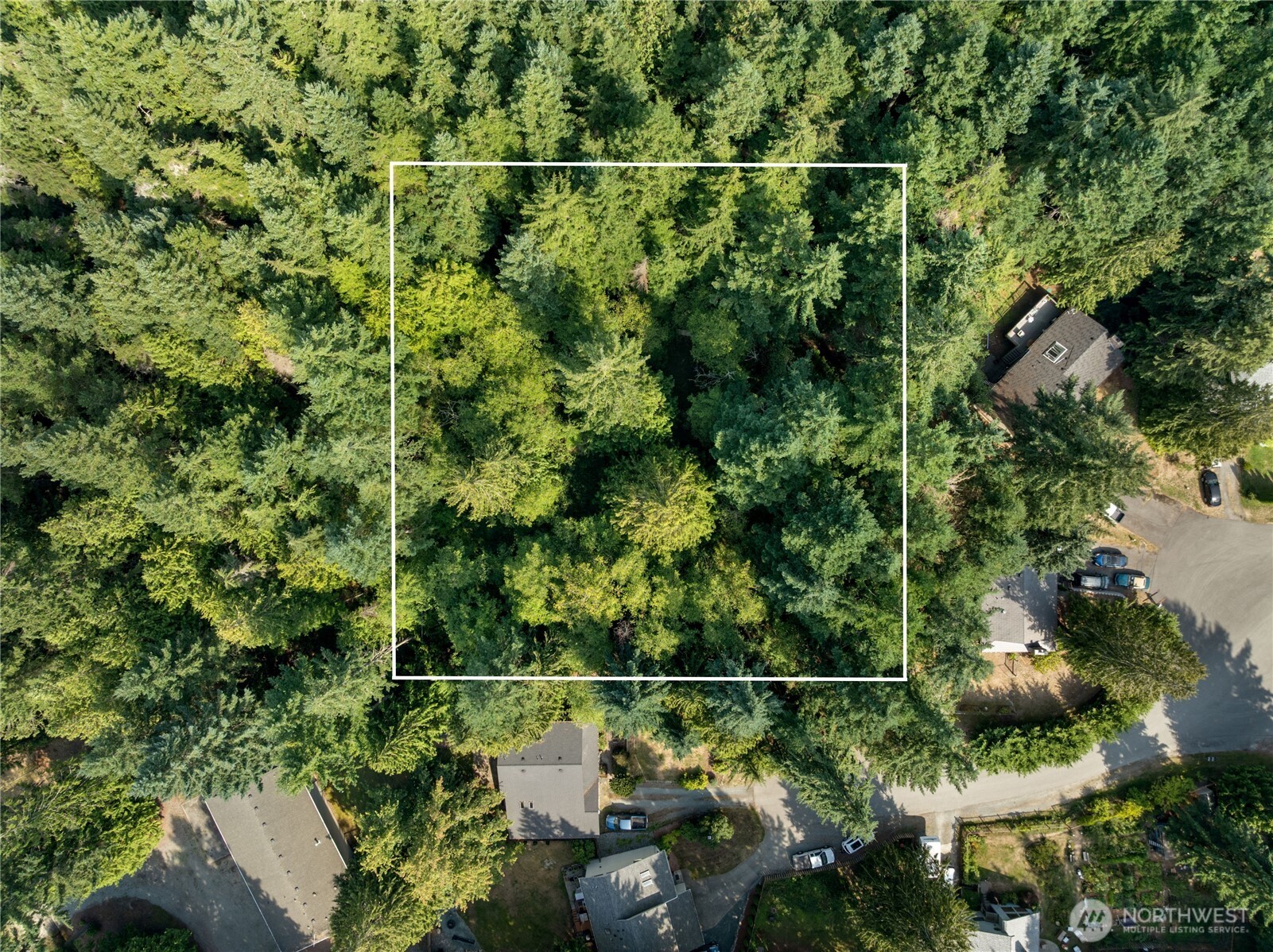 4105 Tartan Way Clinton, WA 98236 - Photo 16 of 18 a view of a yard