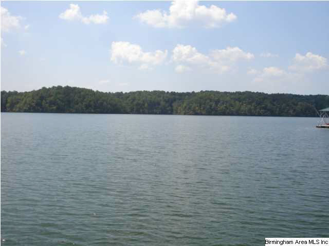 Hummingbird Drive Wedowee, AL 36278 - Photo 2 of 6