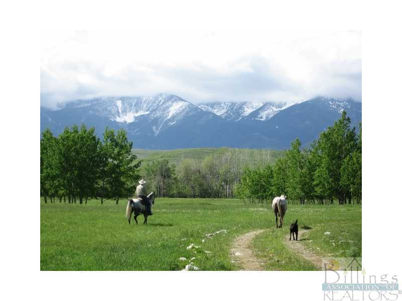 131 Lower Luther Road Red Lodge, MT 59068 - Photo 1 of 1 Gallery Image 1