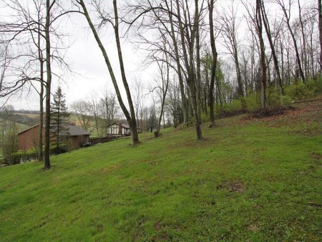 9225 Jerry Wright Road Alexandria, KY 41001 - Photo 19 of 24 Gallery Image 19