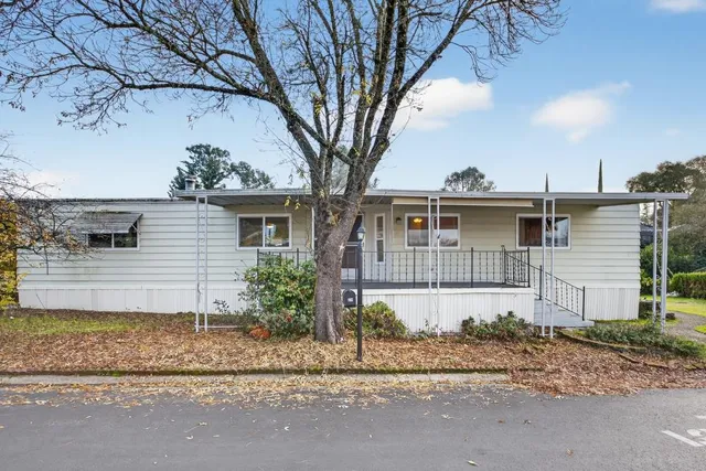 front view of a house with a dry trees