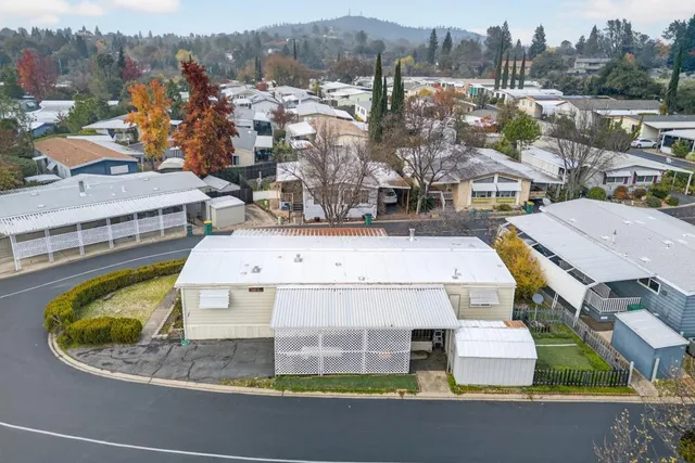 a view of a yard with plants