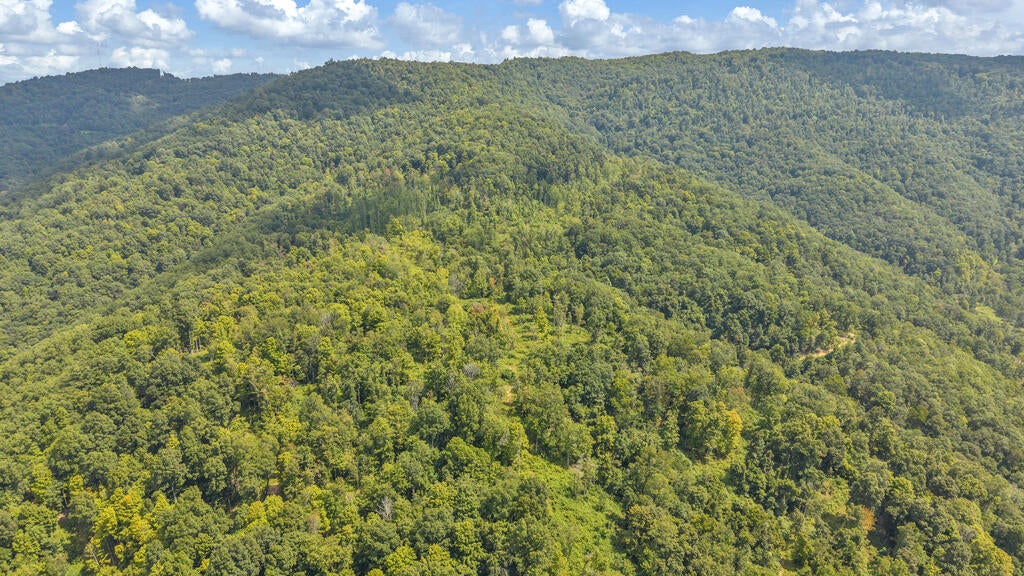 0 Wingfield Mountain Road Sandstone, WV 25985 - Photo 2 of 18 Gallery Image 2