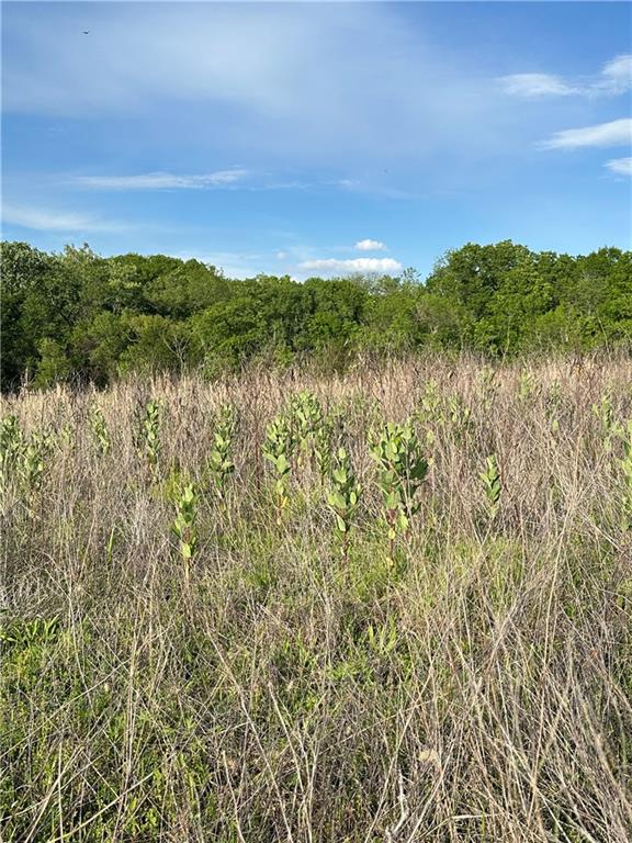 34664 Spring Valley Road Paola, KS 66071 - Photo 3 of 8