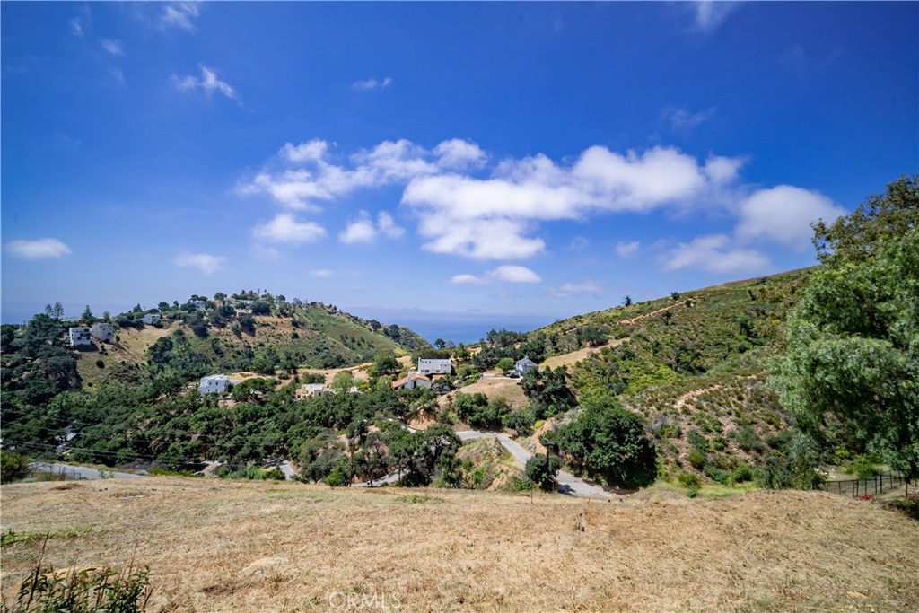 27152 Carrita Road Malibu, CA 90265 - Photo 5 of 9 a view of a bunch of trees